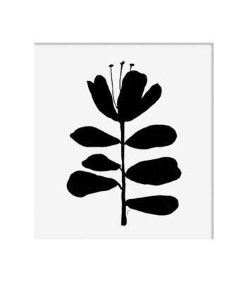 Decor — Shape & Flow